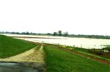 Hier sehen Sie die Ems wenn hoch Wasser ist zwischen Tunxdorf und Brahe ich sch�tze mal ca 1 - 1,5 m hoch